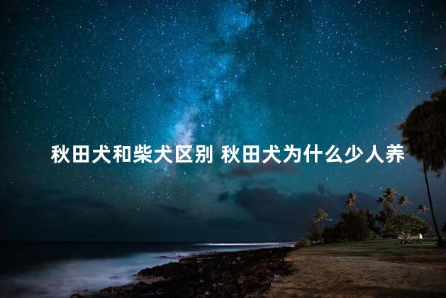 秋田犬和柴犬区别 秋田犬为什么少人养